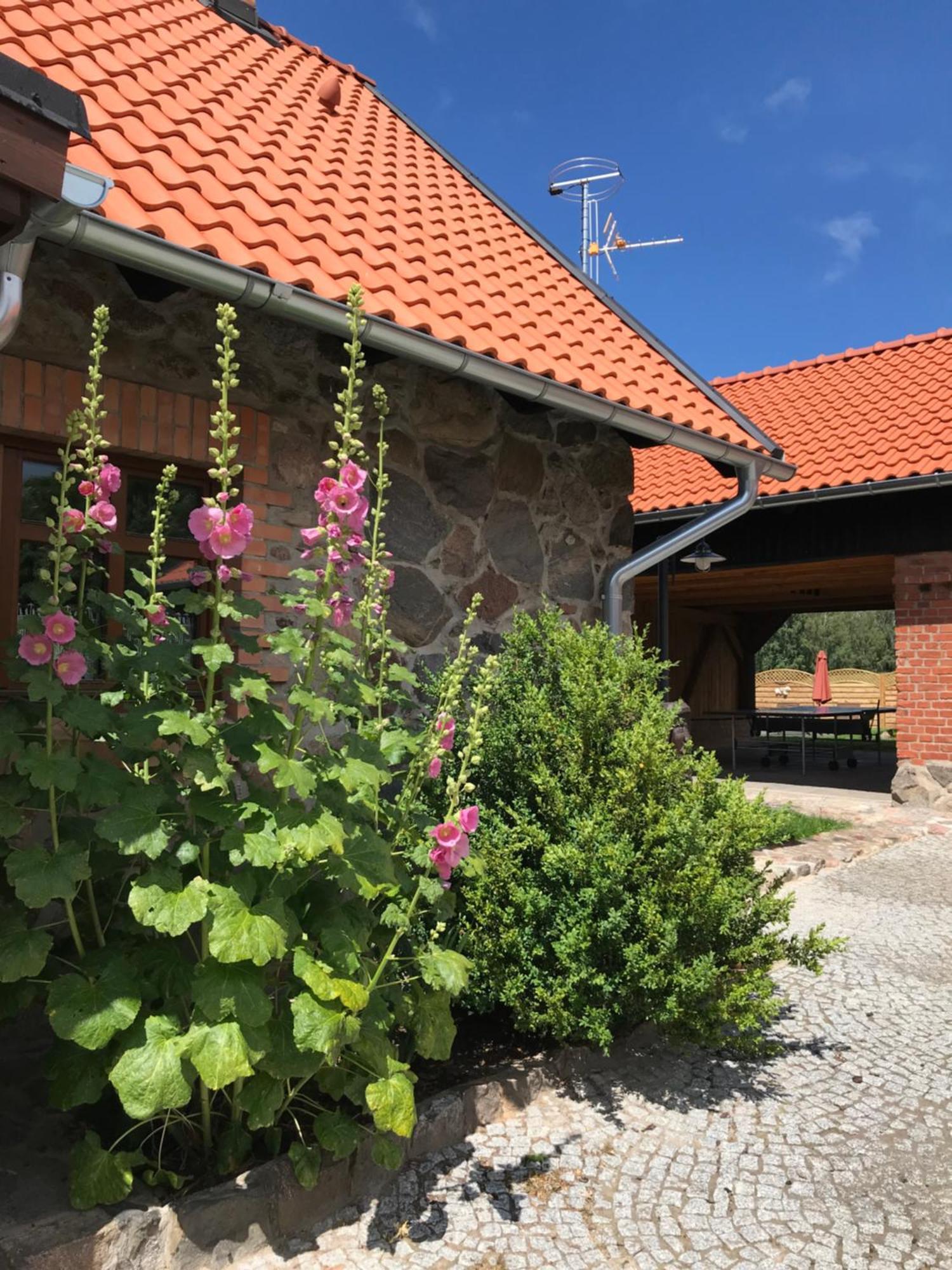 Siedlisko Na Gorce Villa Zalec Eksteriør billede